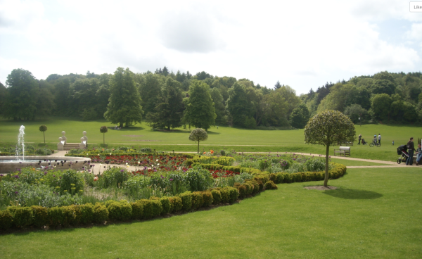 Sunken Gardens at Priory Park, just in front of the meeting bench